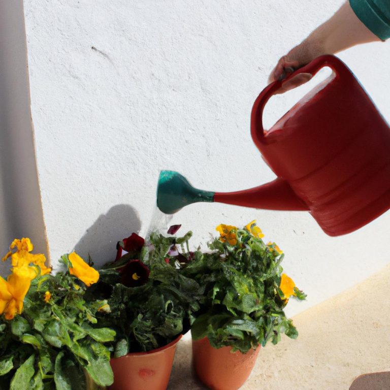 Drainage and Watering Tips: Flowers Shopping, Pots, and Planters