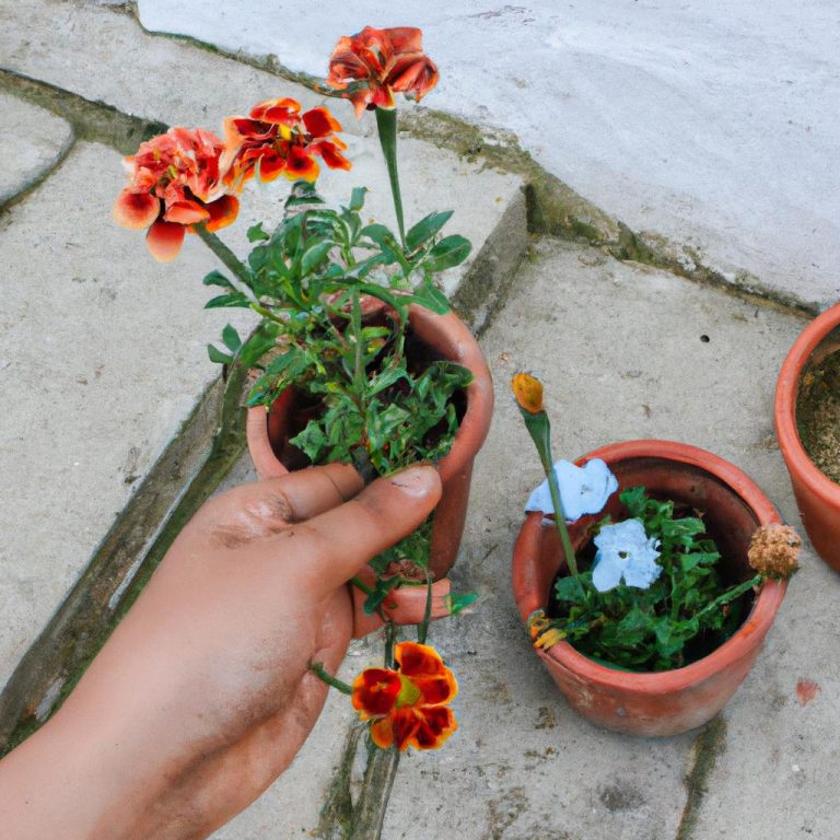 Pots and Planters: The Essential Guide for Flower Shopping
